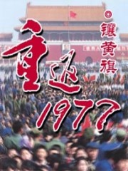 替身改修无情道,师兄们跪求原谅全文免费阅读
