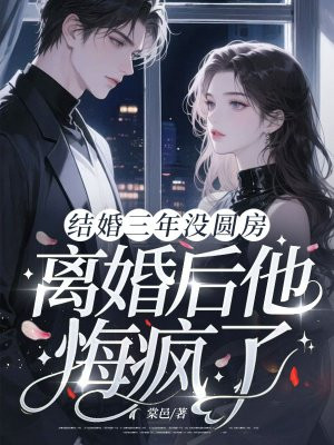 结婚三年没圆房,离婚后他悔疯了全文免费阅读